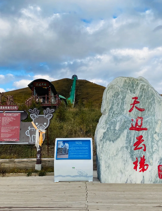 帝奥蘑菇视频
